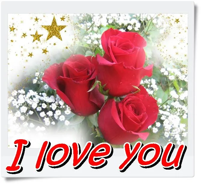 imagenes de rosas con frases de amor 4 jpg MEMES Pictures imagenes de rosas con frases de amor 4 jpg MEMES Pictures