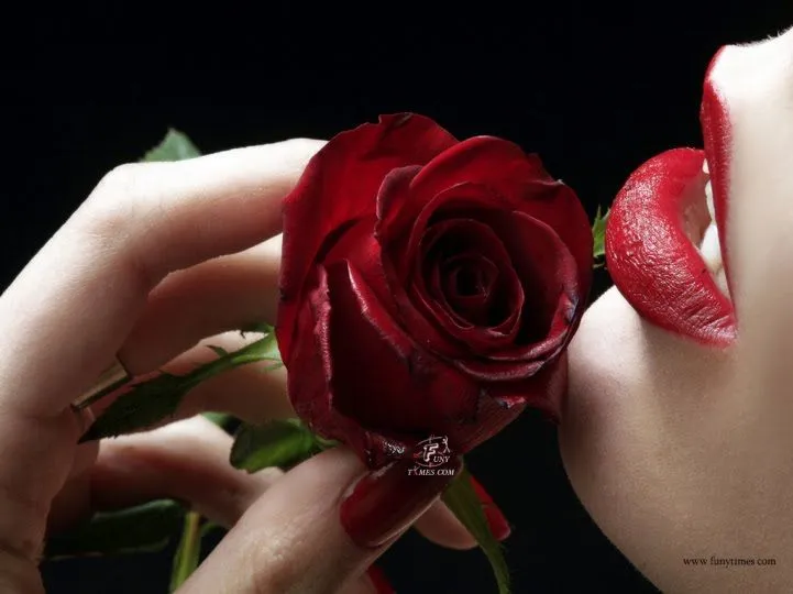 Imagenes de rosas hermosa con brillo - Imagui Imagenes de rosas hermosa con brillo - Imagui