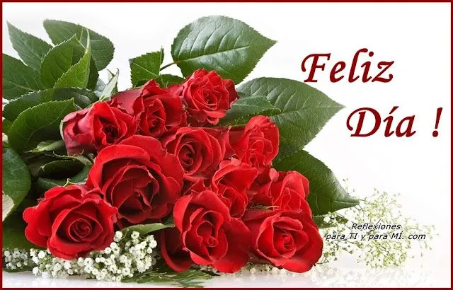 Rosas con los buenos Dias - Imagui