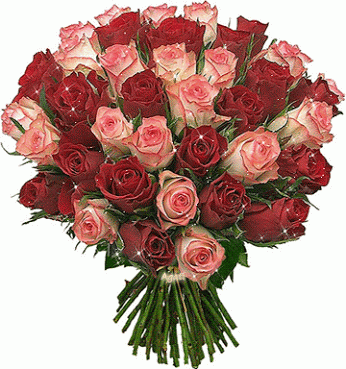 7 imágenes de rosas con movimiento para celular 7 imágenes de rosas con movimiento para celular