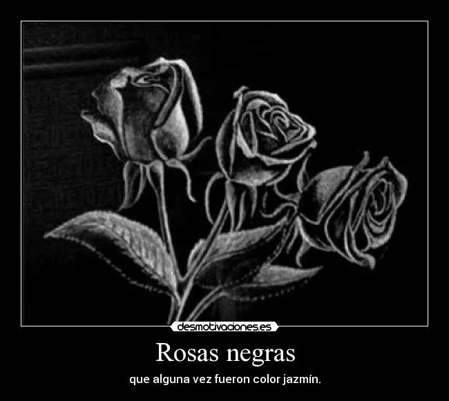 Imagenes de rosas negras con frase - Imagui Imagenes de rosas negras con frase - Imagui