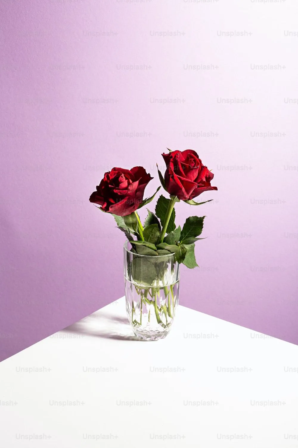 Imágenes de Rosas Rojas | Descarga imágenes gratuitas en Unsplash Imágenes de Rosas Rojas | Descarga imágenes gratuitas en Unsplash