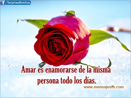 Imagenes de rosas rojas con frases - Imagui Imagenes de rosas rojas con frases - Imagui