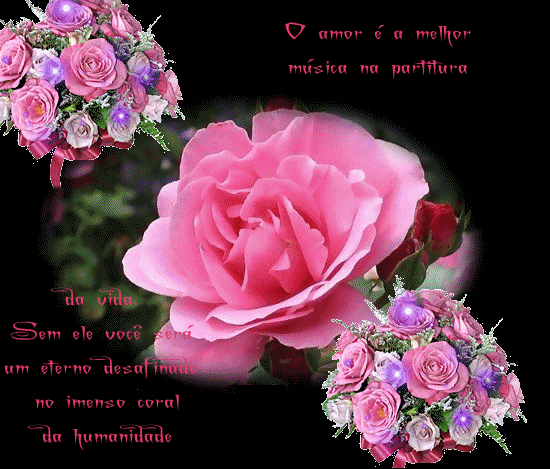 Imàgenes De Rosas Rojas Con Lindas Frases De Amor | imagenes ...