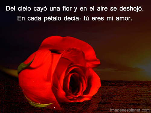 imagenes-de-rosas-romanticas- ...
