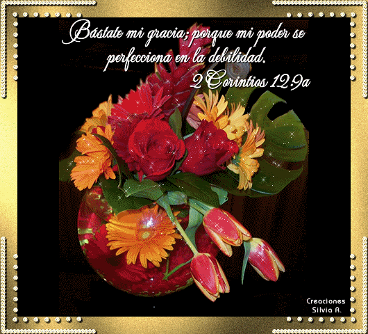 Imagenes de rosas con textos biblicos - Imagui