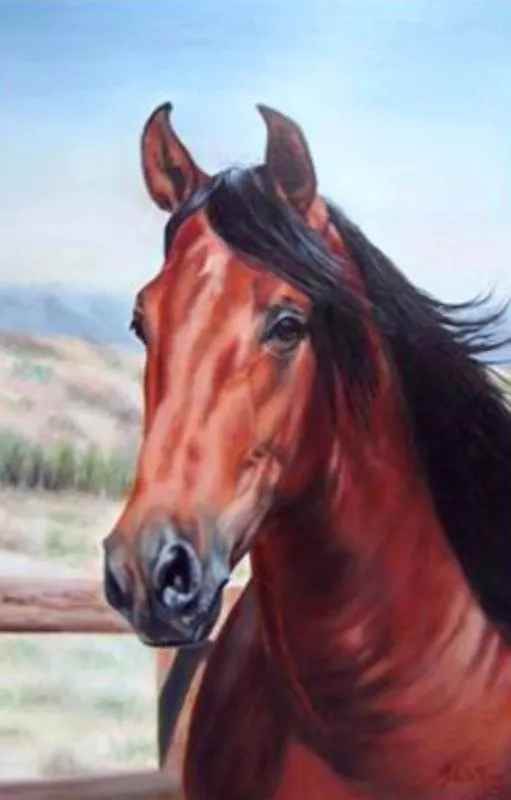 Imagenes de rostros de caballos - Imagui