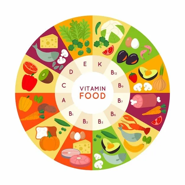 Imágenes de Rueda Alimenticia - Descarga gratuita en Freepik Imágenes de Rueda Alimenticia - Descarga gratuita en Freepik