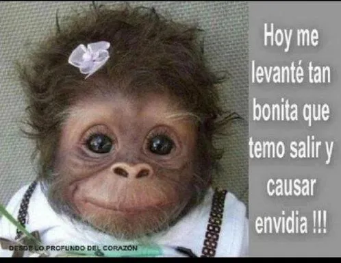 Imagenes hoy es sabado - Imagui