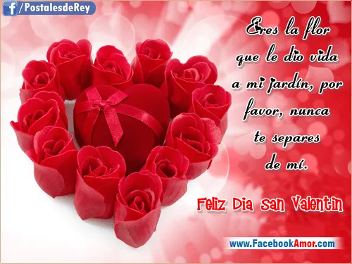 Imagenes De Dia De San Valentin Con Frases | Miexsistir