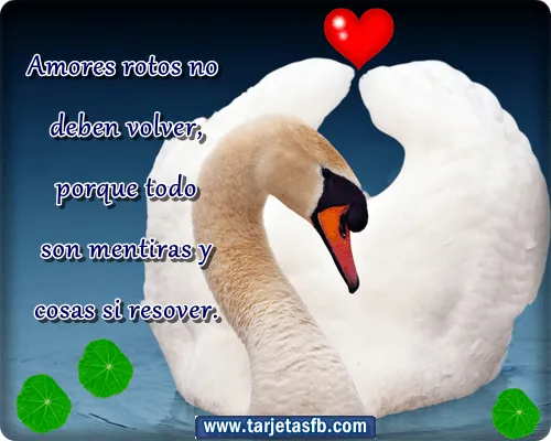 Imagenes Para El Dia De San Valentin Con Frases | Miexsistir Imagenes Para El Dia De San Valentin Con Frases | Miexsistir