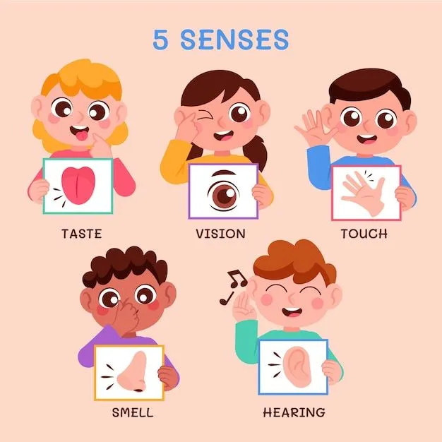 Imágenes de 5 Sentidos - Descarga gratuita en Freepik Imágenes de 5 Sentidos - Descarga gratuita en Freepik