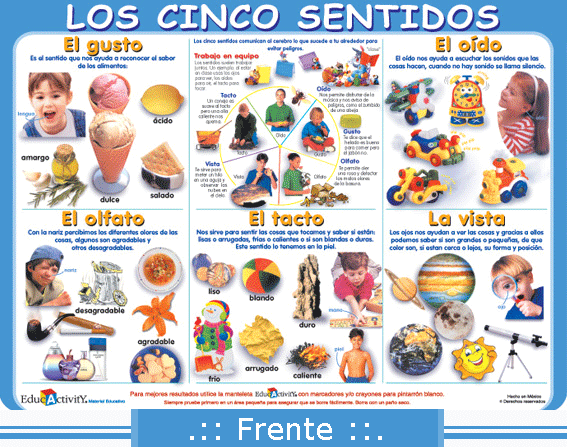 Imagenes d los 5 sentidos - Imagui