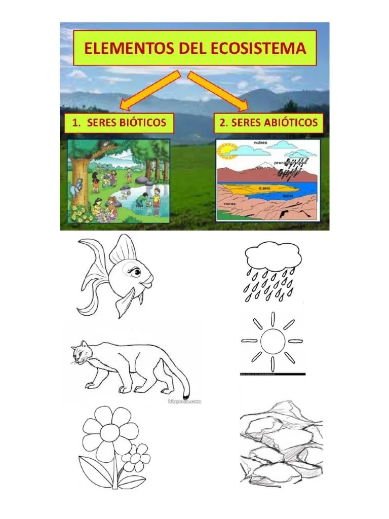 Imagenes Seres Bioticos y Abioticos | PDF