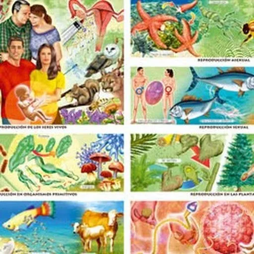 Los seres vivos - Imagui Los seres vivos - Imagui