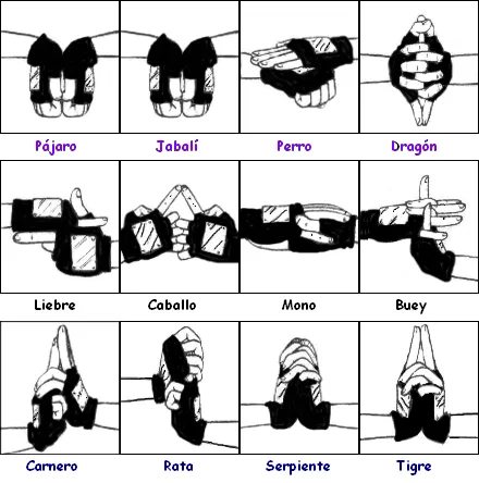 Naruto Fan: Sellos Manuales