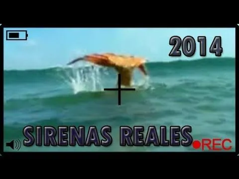 IMÁGENES DE UNA SIRENA REAL. - YouTube