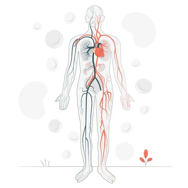 Imágenes de Sistema Circulatorio - Descarga gratuita en Freepik Imágenes de Sistema Circulatorio - Descarga gratuita en Freepik