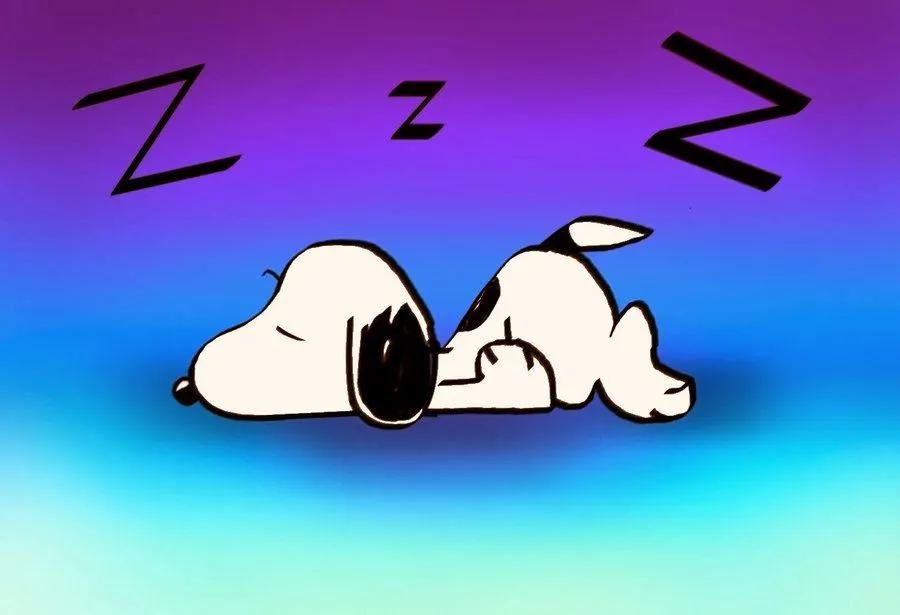 Imágenes de Snoopy (20 fotos)