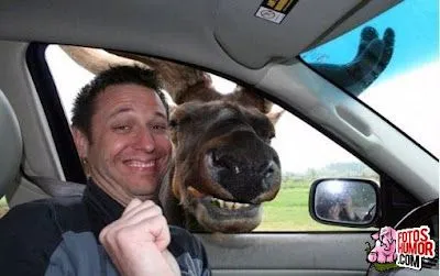 Imagenes de Sonrisas Graciosas