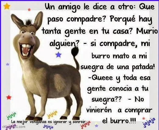 Chistes y anécdotas de Suegras