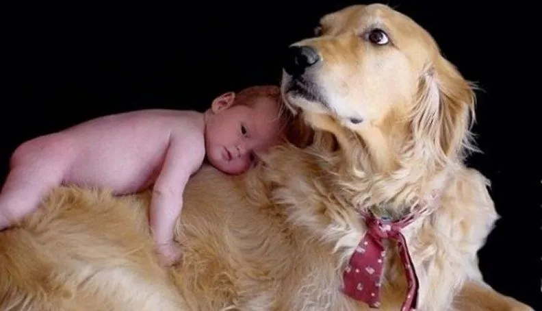 Imagenes super tiernas de perros y gatos | Imagenes Tiernas ... Imagenes super tiernas de perros y gatos | Imagenes Tiernas ...
