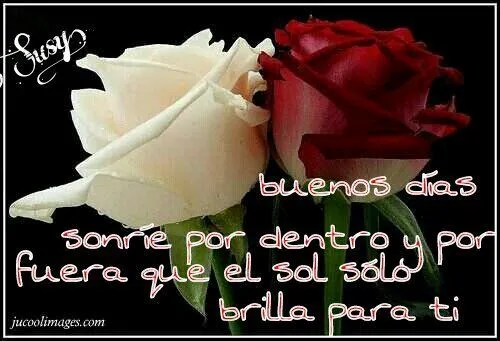 imagenes buenos dias buenas tardes buenas noches detalles de amor ... imagenes buenos dias buenas tardes buenas noches detalles de amor ...