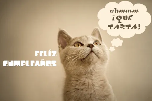 Imágenes y Tarjetas de Cumpleaños Graciosas - ツ Imagenes y ...