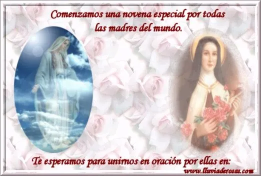 Tarjetas Web de Lluvia de Rosas - Novena de Mayo