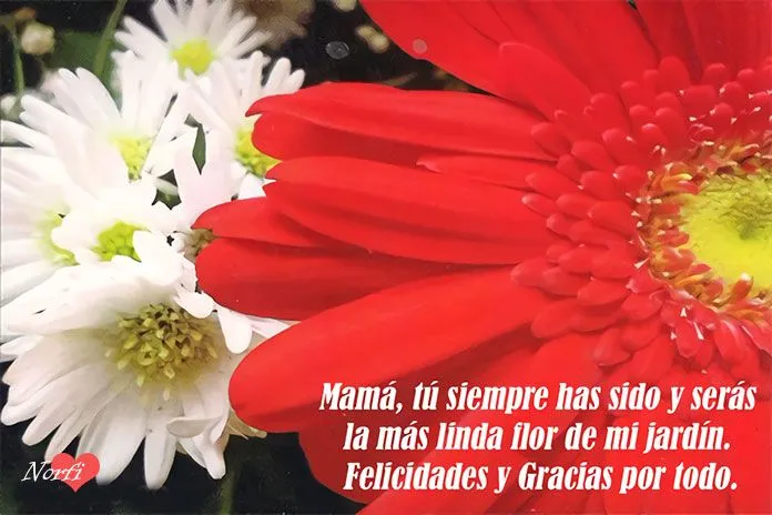 Imágenes, tarjetas y postales para mamá en el día de las madres Imágenes, tarjetas y postales para mamá en el día de las madres