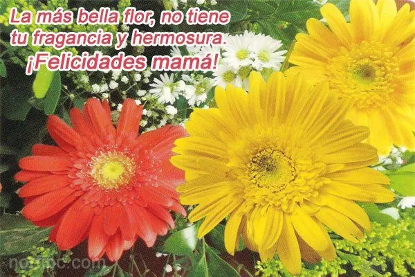 Imágenes, tarjetas y postales para mamá en el día de las madres Imágenes, tarjetas y postales para mamá en el día de las madres