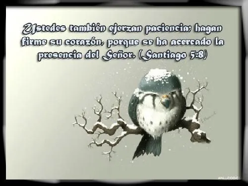Imágenes de texto bíblicos - Imagui