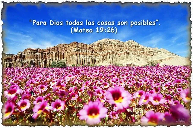 Paisajes biblico y paraisos imagenes y con textos biblico - Imagui