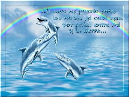 REFLECCIONES E IMAGENES: IMAGENES CON VERSICULOS Y MENSAJES REFLECCIONES E IMAGENES: IMAGENES CON VERSICULOS Y MENSAJES