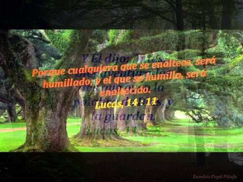 Mis imágenes con textos Bíblicos... - YouTube Mis imágenes con textos Bíblicos... - YouTube