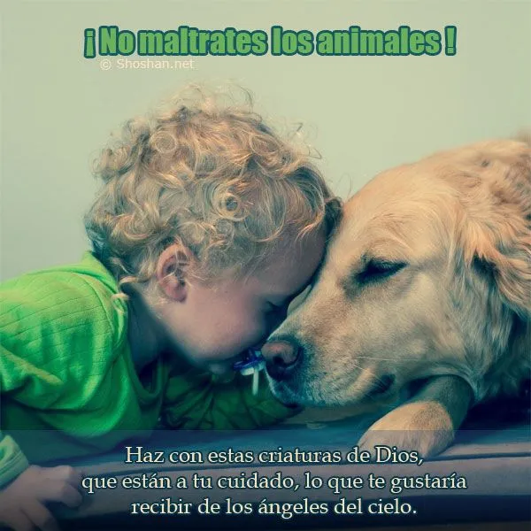 Imagenes con textos para Facebook: No maltrates los animales