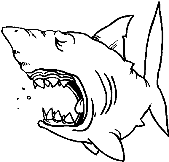 Tiburon nemo para pintar - Imagui