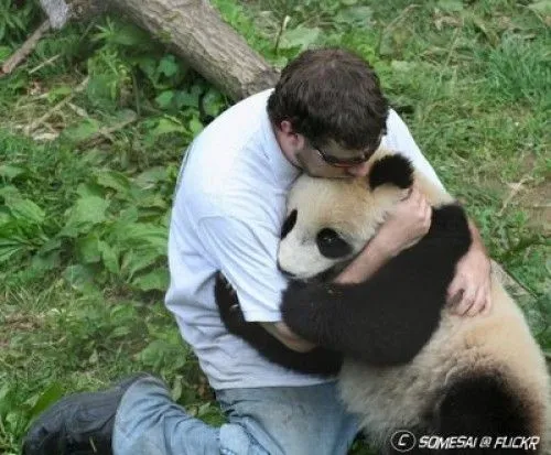 Imágenes tiernas de abrazos de osos | Imagenes Tiernas - Imagenes ... Imágenes tiernas de abrazos de osos | Imagenes Tiernas - Imagenes ...