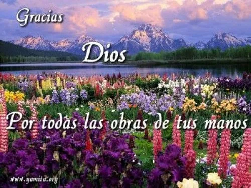 Imágenes tiernas para agradecer a Dios | Imagenes Tiernas ... Imágenes tiernas para agradecer a Dios | Imagenes Tiernas ...