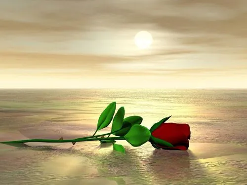 Imágenes tiernas de amanecer | Imagenes Tiernas - Imagenes de Amor Imágenes tiernas de amanecer | Imagenes Tiernas - Imagenes de Amor