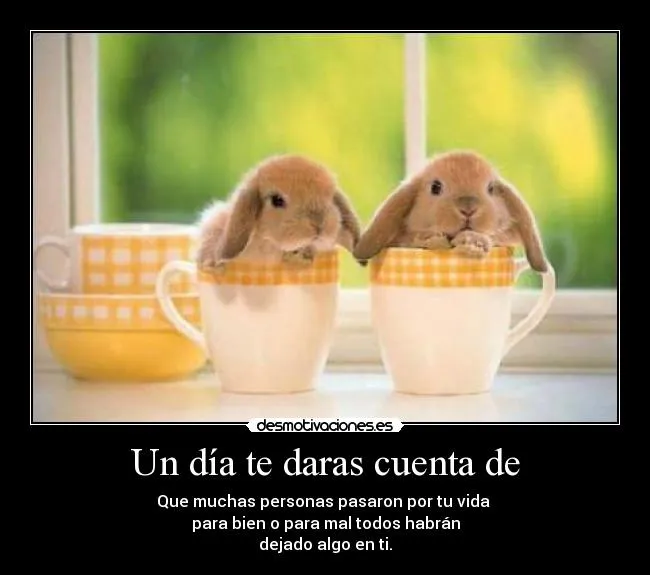 Imagenes te amo tiernas - Imagui