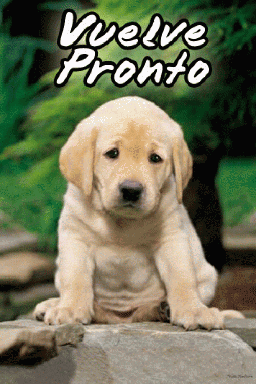 Imágenes tiernas para despedirse | Imagenes Tiernas - Imagenes de Amor