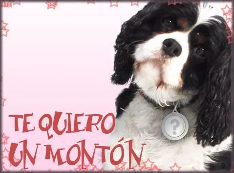 Imagenes Tiernas: Imagenes muy tiernas para enamorados