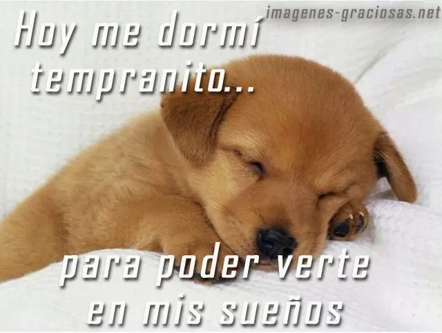 Ver imagenes tiernas: Imagenes tiernas con mensajes de buenas noches Ver imagenes tiernas: Imagenes tiernas con mensajes de buenas noches
