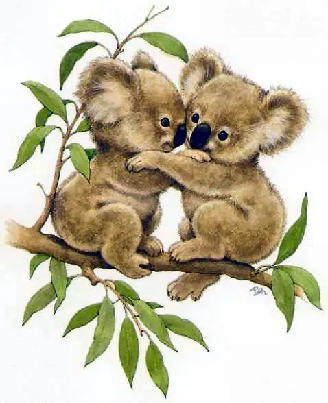Koalas tiernos bebés | imagenes tiernas de koalas Koalas tiernos bebés | imagenes tiernas de koalas