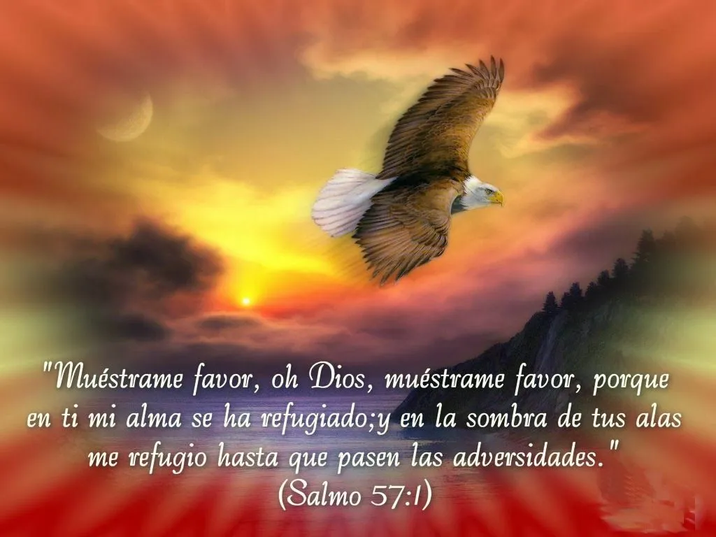 imagenes tiernas con mensajes biblicos
