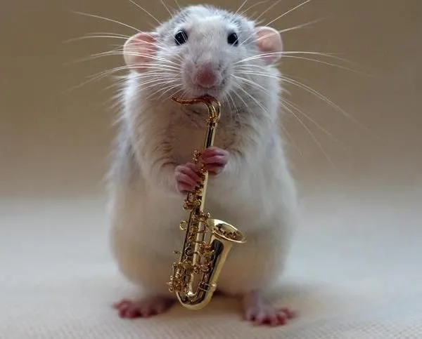 Imagenes de ratoncitos tiernos - Imagui