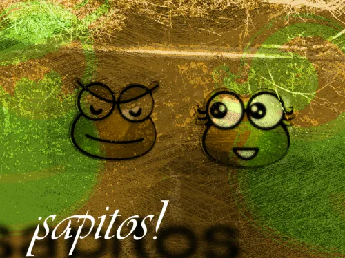 Imágenes tiernas de sapitos | Imagenes Tiernas - Imagenes de Amor