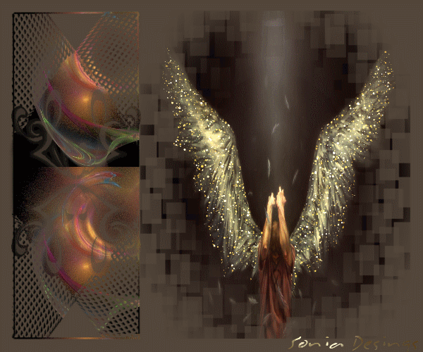 Ver imagenes tiernas: Tiernas con movimiento y brillo Ver imagenes tiernas: Tiernas con movimiento y brillo