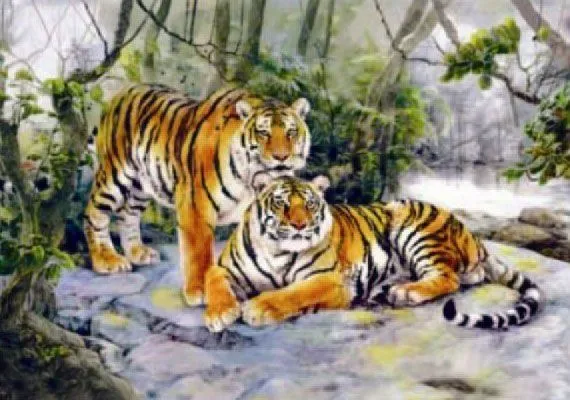 Tigre 3D - Imagui